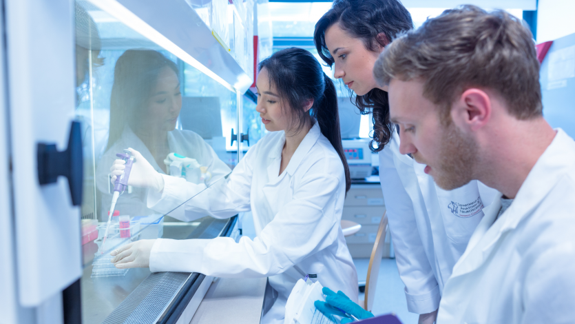 Ayudas Predoctorales AECC 2025