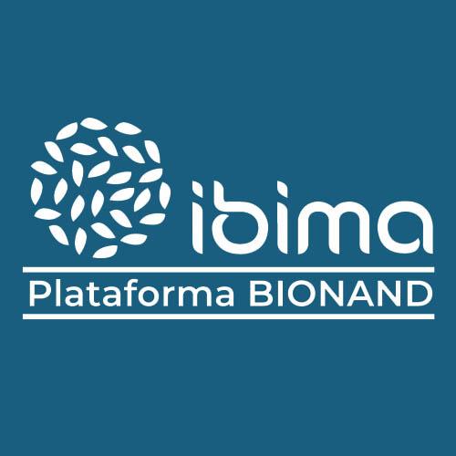 INVESTIGADOR POSTDOCTORAL EN INGENIERÍA